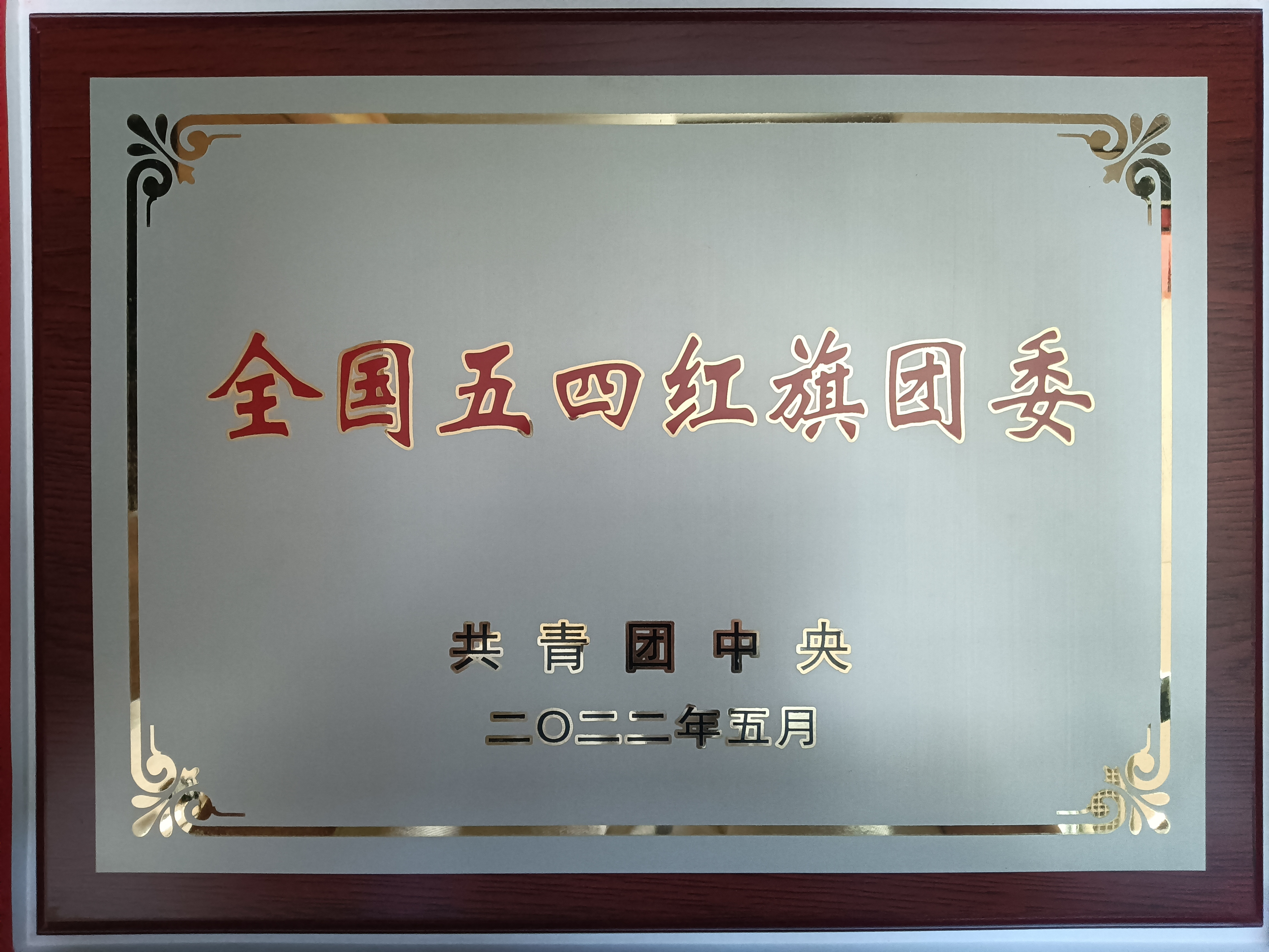 青春当燃！2022，有研青年这样走过