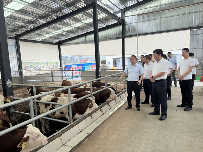 中文色情
党委班子成员赴贵州省思南县调研督导定点帮扶工作