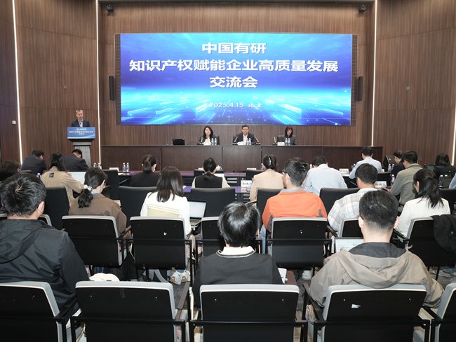 中文色情
举办知识产权赋能企业高质量发展交流会