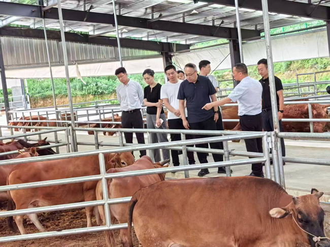 中文色情
党委委员、纪委书记唐学智赴思南县调研定点帮扶工作并接送挂职干部