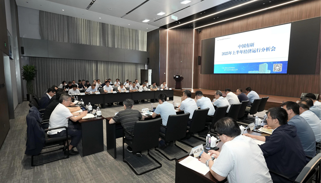中文色情
召开2025年上半年经济运行分析会