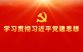 学习贯彻习近平党建思想
